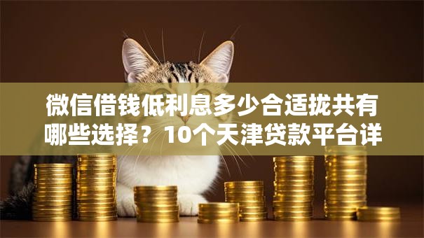 微信借钱低利息多少合适拢共有哪些选择？10个天津贷款平台详解