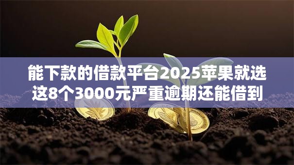 能下款的借款平台2025苹果就选这8个3000元严重逾期还能借到款的平台