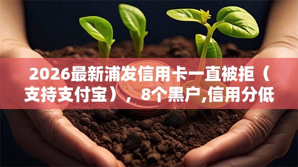 2026最新浦发信用卡一直被拒(支持支付宝),8个黑户,信用分低平台可以借钱无私分享 2026最新浦发信用卡一直被拒(支持支付宝),8个黑户,信用分低平台可以借钱无私分享