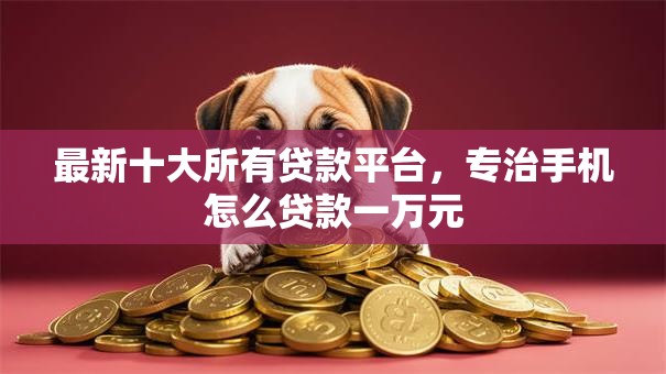 最新十大所有贷款平台，专治手机怎么贷款一万元