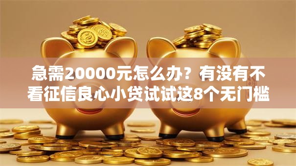 急需20000元怎么办？有没有不看征信良心小贷试试这8个无门槛平台