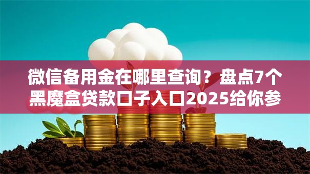 微信备用金在哪里查询?盘点7个黑魔盒贷款口子入口2025给你参考 微信备用金在哪里查询?盘点7个黑魔盒贷款口子入口2025给你参考
