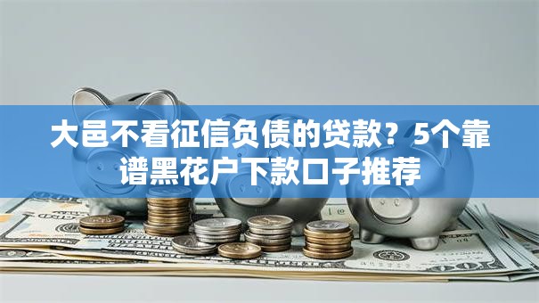大邑不看征信负债的贷款？5个靠谱黑花户下款口子推荐