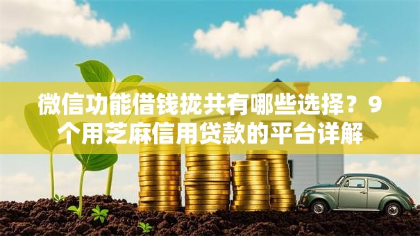 微信功能借钱拢共有哪些选择？9个用芝麻信用贷款的平台详解