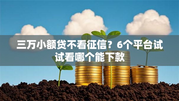 三万小额贷不看征信?6个平台试试看哪个能下款 三万小额贷不看征信?6个平台试试看哪个能下款