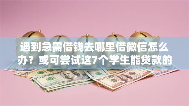 遇到急需借钱去哪里借微信怎么办？或可尝试这7个学生能贷款的平台