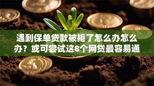 遇到保单贷款被拒了怎么办怎么办？或可尝试这8个网贷最容易通过的平台