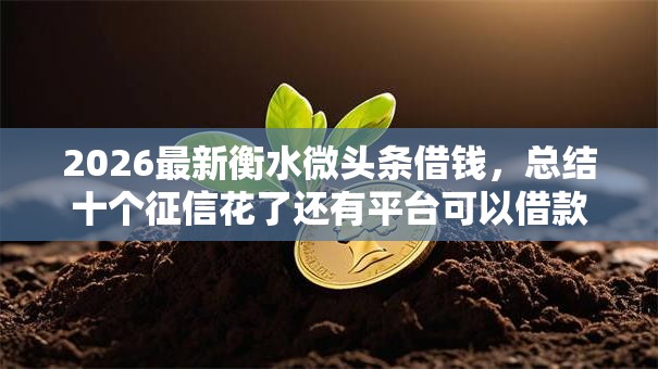 2026最新衡水微头条借钱，总结十个征信花了还有平台可以借款！