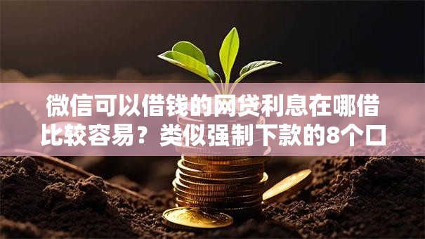 微信可以借钱的网贷利息在哪借比较容易？类似强制下款的8个口子参考