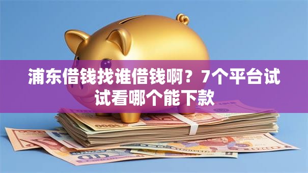 浦东借钱找谁借钱啊？7个平台试试看哪个能下款