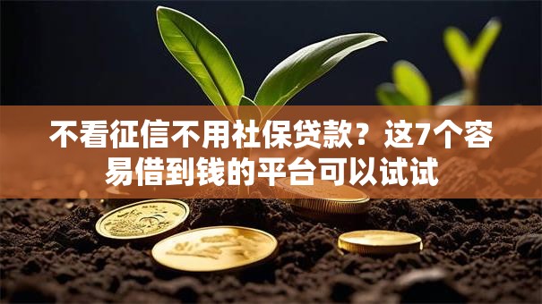 不看征信不用社保贷款？这7个容易借到钱的平台可以试试