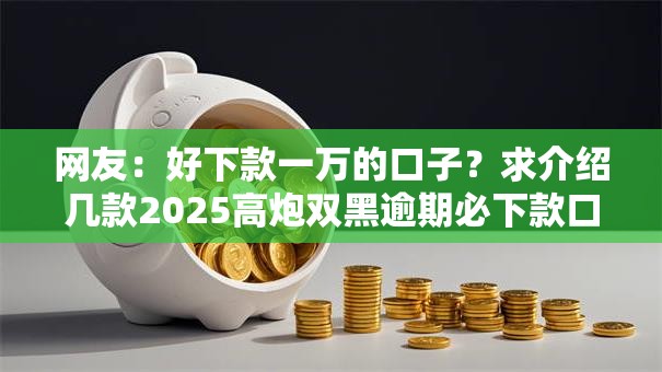网友：好下款一万的口子？求介绍几款2025高炮双黑逾期必下款口子