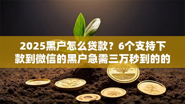 2025黑户怎么贷款？6个支持下款到微信的黑户急需三万秒到的的软件