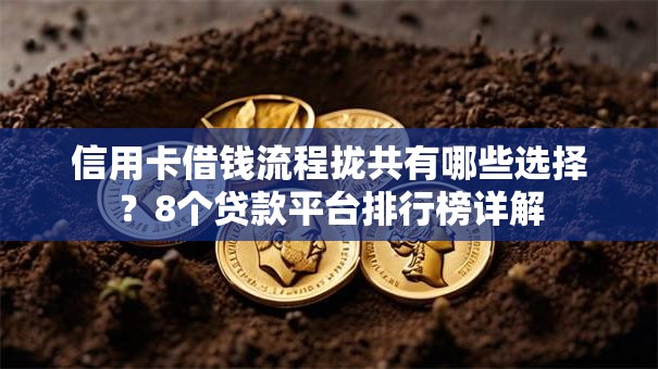 信用卡借钱流程拢共有哪些选择？8个贷款平台排行榜详解