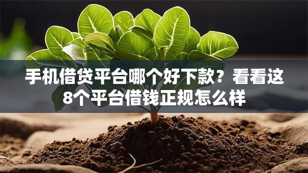 手机借贷平台哪个好下款？看看这8个平台借钱正规怎么样
