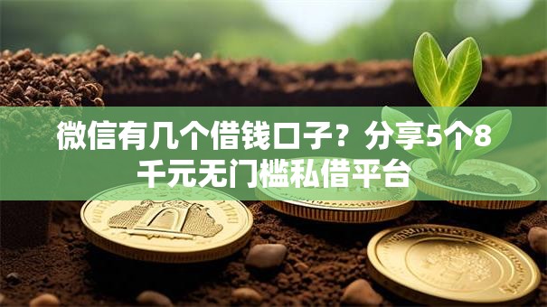 微信有几个借钱口子？分享5个8千元无门槛私借平台
