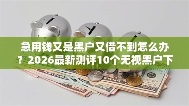 急用钱又是黑户又借不到怎么办？2026最新测评10个无视黑户下款口子