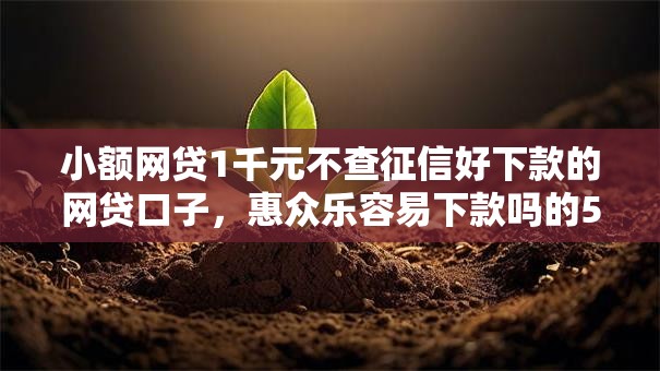 小额网贷1千元不查征信好下款的网贷口子，惠众乐容易下款吗的5个平台介绍