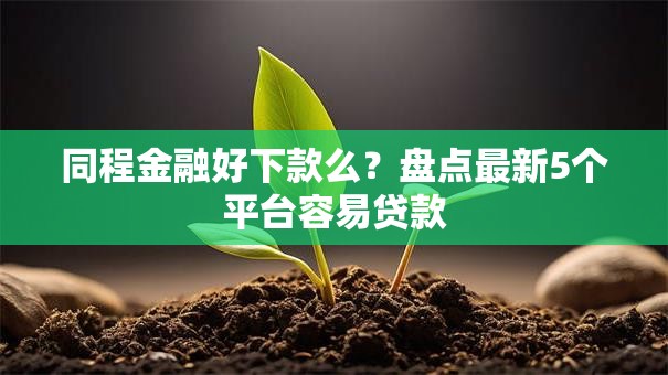 同程金融好下款么？盘点最新5个平台容易贷款