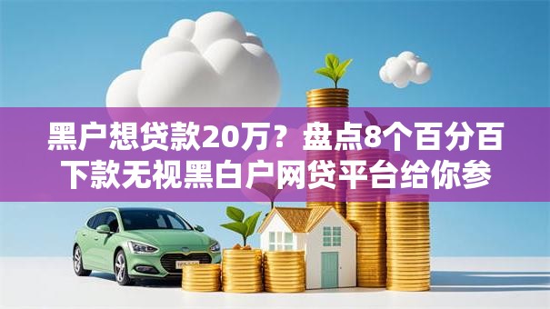 黑户想贷款20万？盘点8个百分百下款无视黑白户网贷平台给你参考