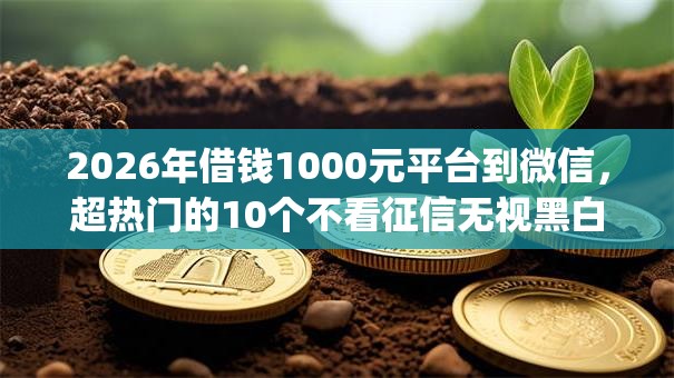 2026年借钱1000元平台到微信，超热门的10个不看征信无视黑白百分百下款网贷app推荐