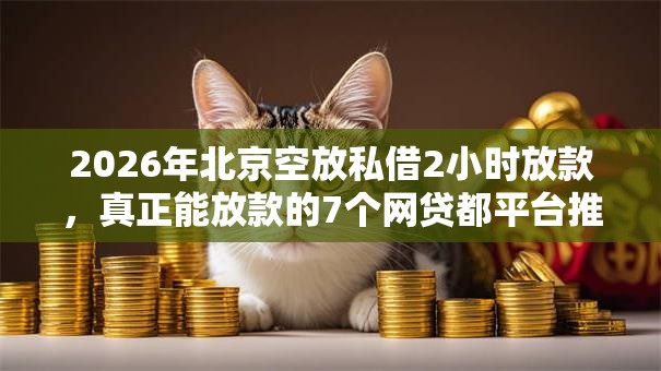 2026年北京空放私借2小时放款,真正能放款的7个网贷都平台推荐 2026年北京空放私借2小时放款,真正能放款的7个网贷都平台推荐
