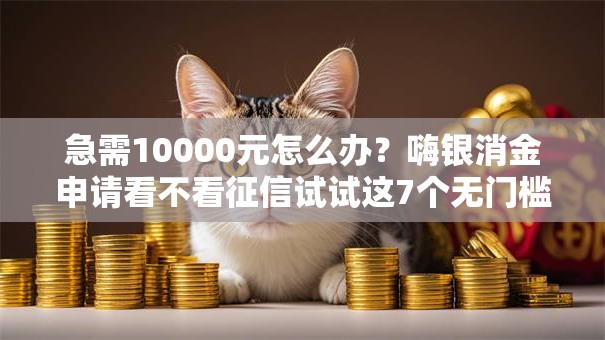 急需10000元怎么办？嗨银消金申请看不看征信试试这7个无门槛平台