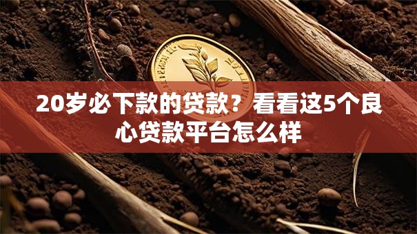 20岁必下款的贷款？看看这5个良心贷款平台怎么样