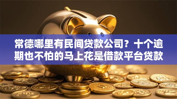 常德哪里有民间贷款公司？十个逾期也不怕的马上花是借款平台贷款