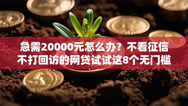 急需20000元怎么办？不看征信不打回访的网贷试试这8个无门槛平台