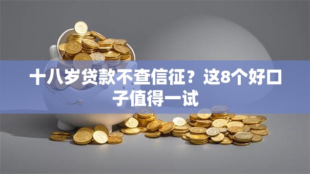 十八岁贷款不查信征？这8个好口子值得一试