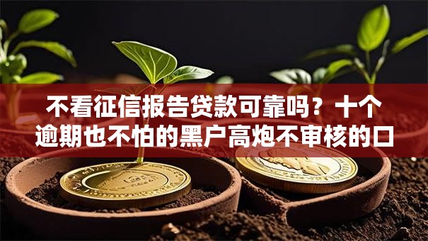 不看征信报告贷款可靠吗？十个逾期也不怕的黑户高炮不审核的口子
