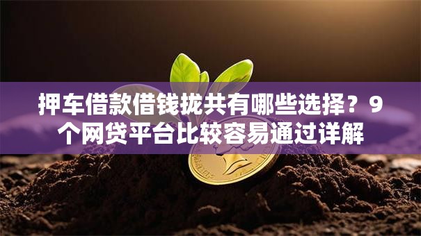 押车借款借钱拢共有哪些选择？9个网贷平台比较容易通过详解