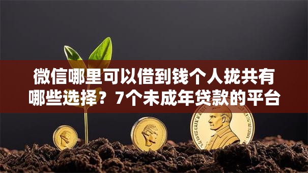 微信哪里可以借到钱个人拢共有哪些选择?7个未成年贷款的平台详解 微信哪里可以借到钱个人拢共有哪些选择?7个未成年贷款的平台详解