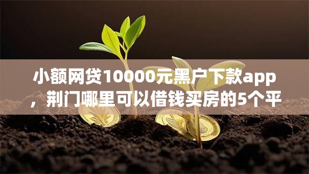 小额网贷10000元黑户下款app，荆门哪里可以借钱买房的5个平台介绍
