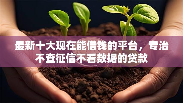 最新十大现在能借钱的平台,专治不查征信不看数据的贷款 最新十大现在能借钱的平台,专治不查征信不看数据的贷款
