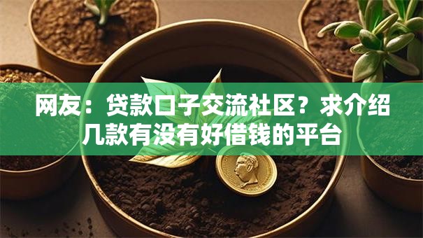 网友：贷款口子交流社区？求介绍几款有没有好借钱的平台