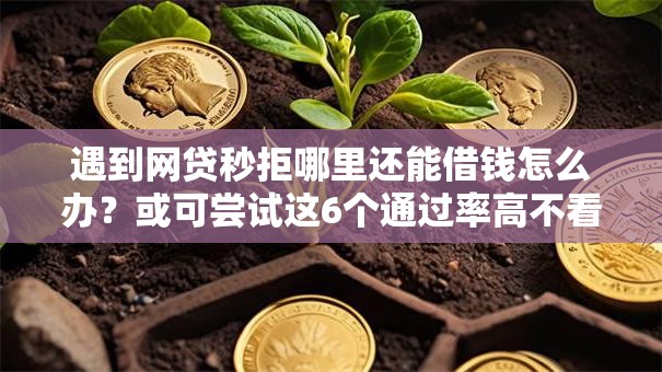 遇到网贷秒拒哪里还能借钱怎么办？或可尝试这6个通过率高不看征信的贷款平台