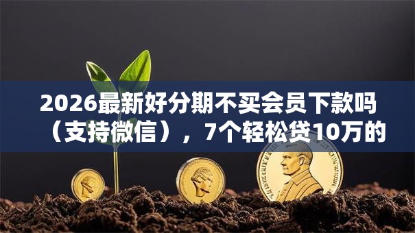 2026最新好分期不买会员下款吗（支持微信），7个轻松贷10万的平台无私分享