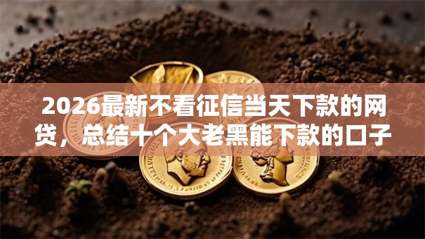2026最新不看征信当天下款的网贷，总结十个大老黑能下款的口子！