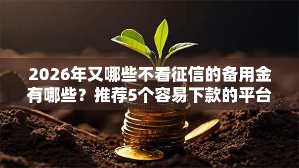 2026年又哪些不看征信的备用金有哪些？推荐5个容易下款的平台