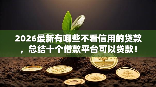 2026最新有哪些不看信用的贷款，总结十个借款平台可以贷款！