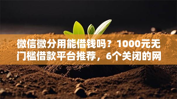 微信微分用能借钱吗？1000元无门槛借款平台推荐，6个关闭的网贷平台盘点