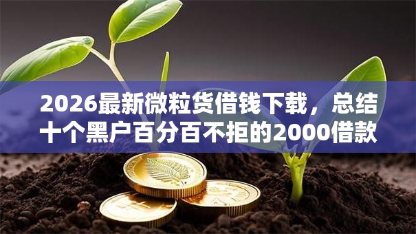 2026最新微粒货借钱下载,总结十个黑户百分百不拒的2000借款口子! 2026最新微粒货借钱下载,总结十个黑户百分百不拒的2000借款口子!