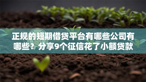 正规的短期借贷平台有哪些公司有哪些？分享9个征信花了小额贷款正规平台