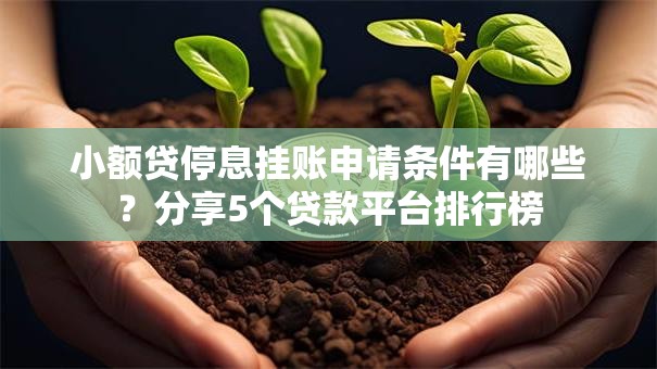 小额贷停息挂账申请条件有哪些?分享5个贷款平台排行榜 小额贷停息挂账申请条件有哪些?分享5个贷款平台排行榜