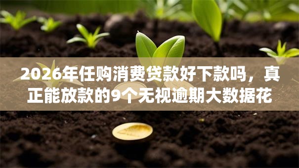 2026年任购消费贷款好下款吗,真正能放款的9个无视逾期大数据花户黑户app推荐 2026年任购消费贷款好下款吗,真正能放款的9个无视逾期大数据花户黑户app推荐