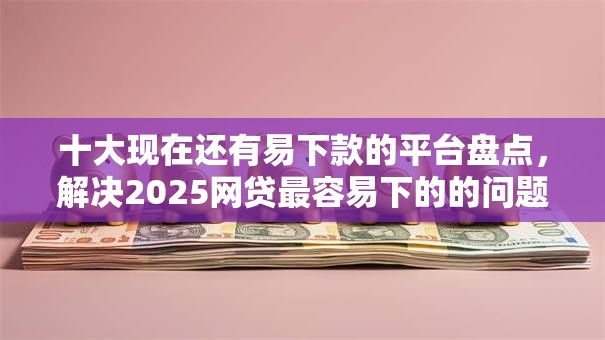 十大现在还有易下款的平台盘点，解决2025网贷最容易下的的问题