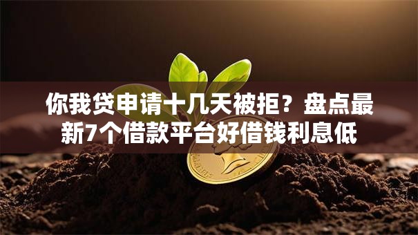 你我贷申请十几天被拒？盘点最新7个借款平台好借钱利息低