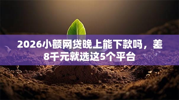 2026小额网贷晚上能下款吗，差8千元就选这5个平台